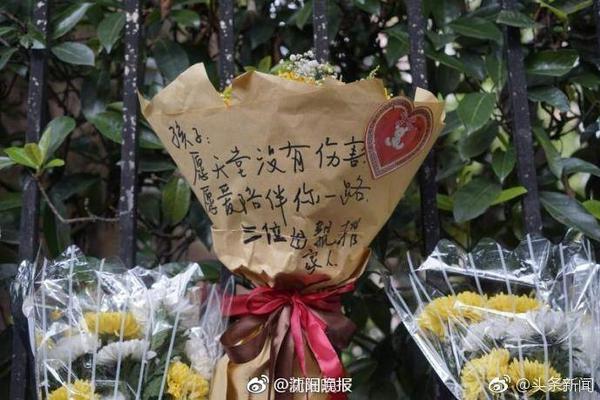 上海申花3:3（点球7:8）河南 Match Day比赛日纪实