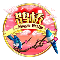 上海申花3:3（点球7:8）河南 Match Day比赛日纪实